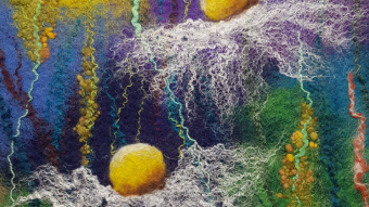 Daisy Picture: Wet Felting