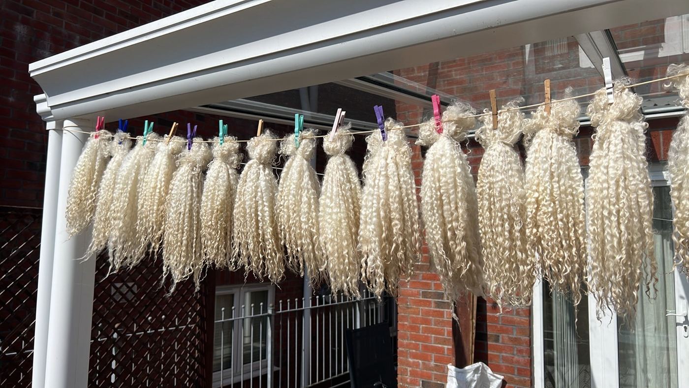 Washed fleece locks drying outdoors